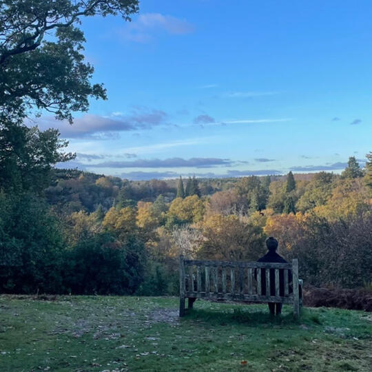 The image shows a woman sitting on a bench overlooking an autumn landscape.